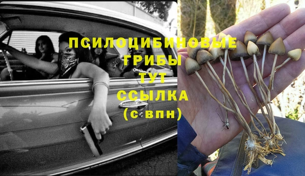 стафф Киреевск