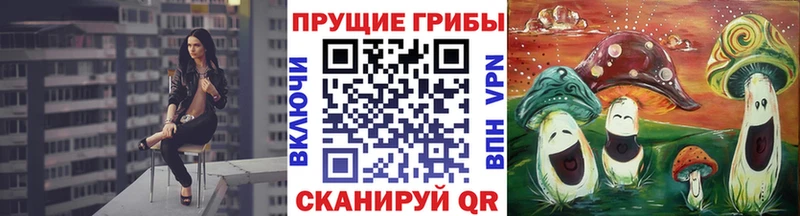 Галлюциногенные грибы прущие грибы  Купить  Арск 